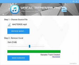 Vocal Remover Pro Serial key