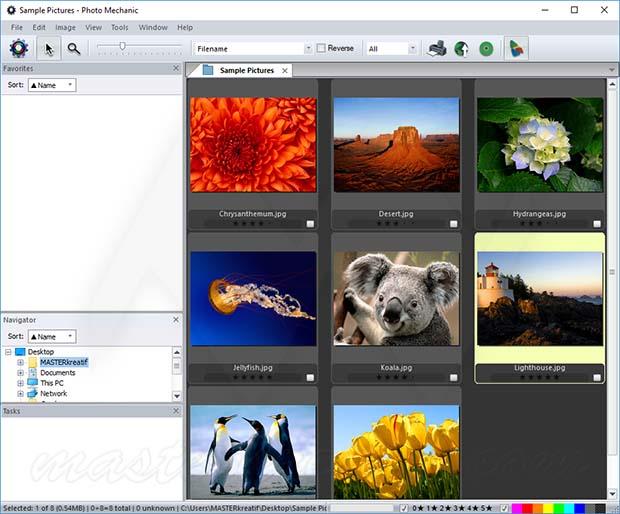 download the new for android Photo Mechanic Plus 6.0.6856