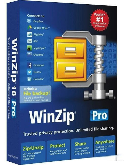 WinZip Pro 23 Crack Activation Key