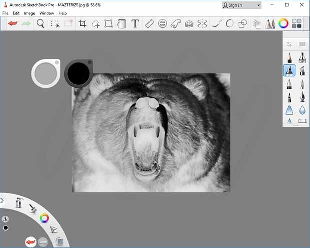 autodesk sketchbook pro 6 torrent